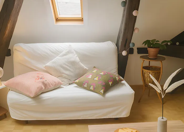 Buffon Ménage Et Linges Inclus * Rouen